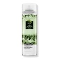 IGK Limited Edition Direct Flight x Chamberlain Coffee Matcha Dry Shampoo