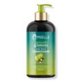 Mielle Avocado & Tamanu Anti-Frizz Conditioner
